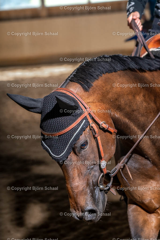 SBS03058 | BS-foto
