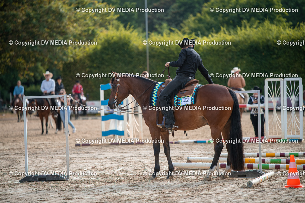 ZS3_9109 | dv-media-shop - Realisiert mit Pictrs.com