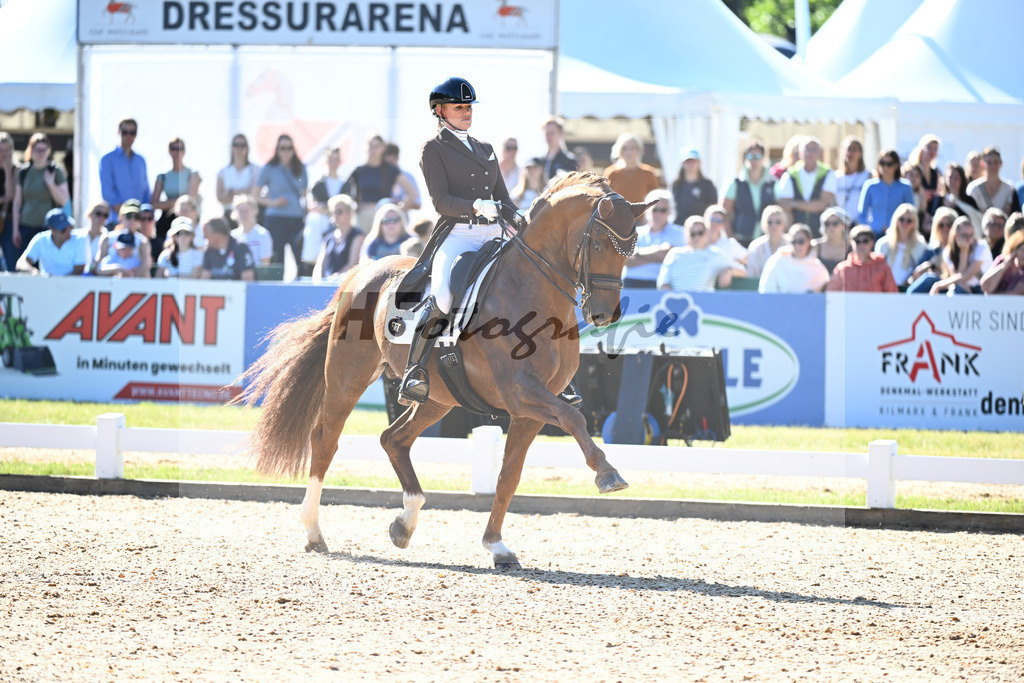 Reichert_Springbank II VH_11253852 | hf-fotografie - Realisiert mit Pictrs.com