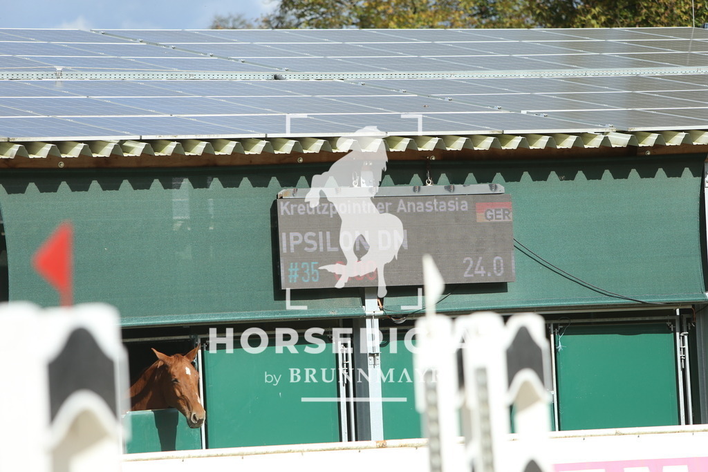 DL2Q5641 | Willkommen bei Brunnmayr - Design & Fotografie – Ihrem Spezialisten für Reitturniere und Pferdeveranstaltungen in Oberösterreich, Salzburg und Bayern! Seit über 17 Jahren sind wir leidenschaftlich dabei.