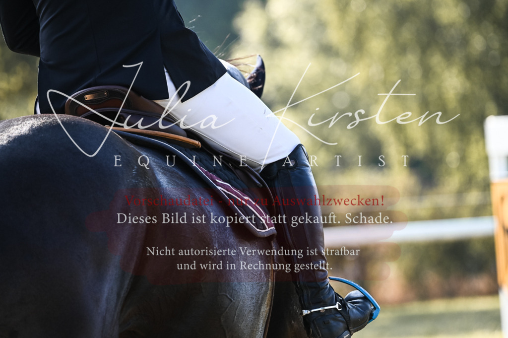 DSC_7544 | Pferde- und Turnierfotografie in Westsachsen. Pferdeportraits, Auftragszeichnungen und intuitive Kunst.