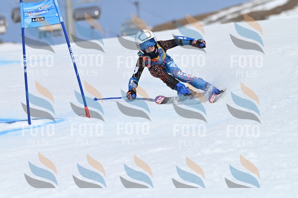 BGV_0204 | holidayphoto