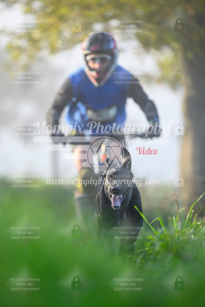 MompixPhotography_20TSB_E3_Bike-62 | PayLife