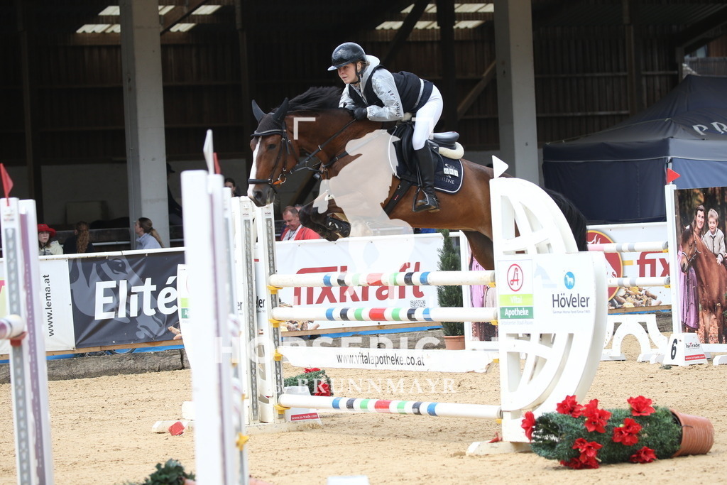 DL2Q2356 | Willkommen bei Brunnmayr - Design & Fotografie – Ihrem Spezialisten für Reitturniere und Pferdeveranstaltungen in Oberösterreich, Salzburg und Bayern! Seit über 17 Jahren sind wir leidenschaftlich dabei.