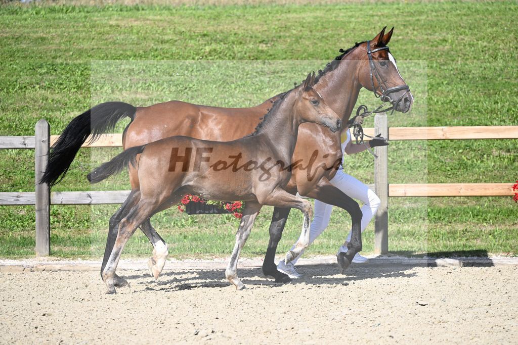 Kat-Nr. 3 HF Einmaleins x Stalypso_Loeffl_28230064 | hf-fotografie - Realizzato con Pictrs.com