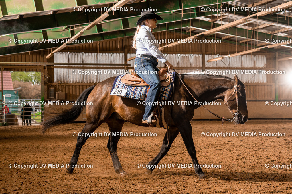 BAL00900 | dv-media-shop - Realisiert mit Pictrs.com