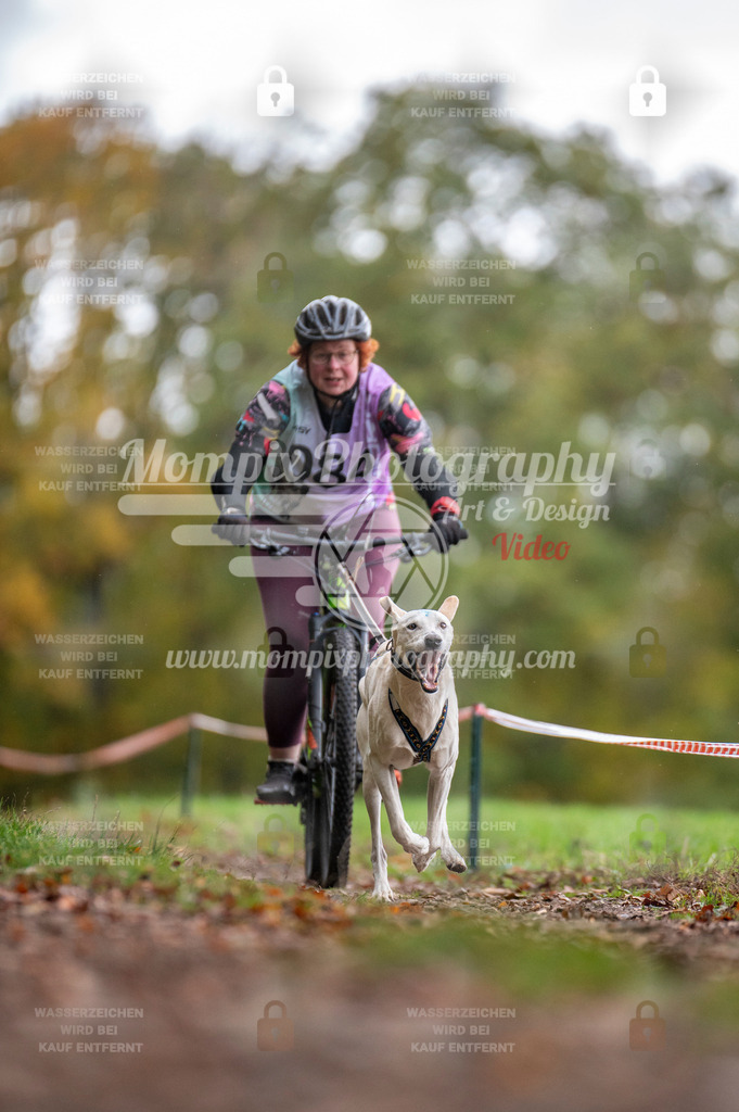 DBT_DAKM_SA_4_11_2023_Bike-90 | PayLife