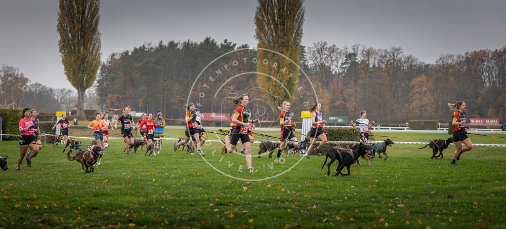 CaniXpix_DV3A8792 | Hundefotografie, Tierfotograf, Pfotenfotografie, Fotoshooting Hund, Hunde Portrait, Hundesport, Hundeportraits, Heideshooting, Hunde, Sportfotograf, Hundefotograf, Turnierhundsport, THS,  - Realisiert mit Pictrs.com