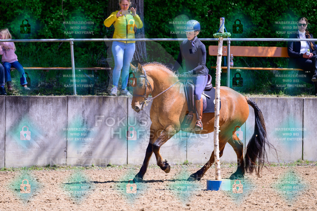 01052026-Giesenbach-02-Stiltrail-0377 | Fokus Hufschlag Fotografie - Realisiert mit Pictrs.com