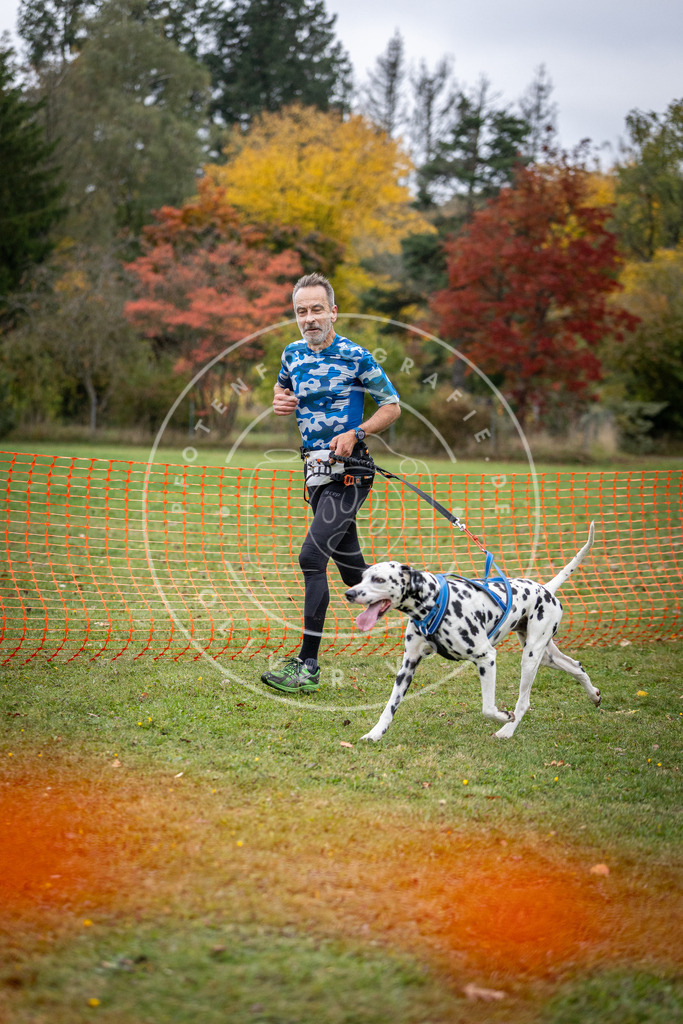 Pfotenfotografie_DV3A1901 | Hundefotografie, Tierfotograf, Pfotenfotografie, Fotoshooting Hund, Hunde Portrait, Hundesport, Hundeportraits, Heideshooting, Hunde, Sportfotograf, Hundefotograf, Turnierhundsport, THS,  - Realisiert mit Pictrs.com