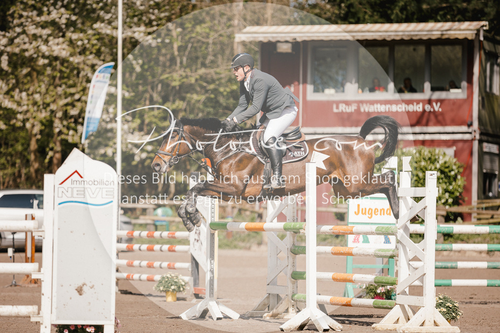 3I6A3986 | Stimmungsvolle Portraits und Reitsportfotografie im Ruhrgebiet und im Münsterland.

Pferdefotografie, Hundefotografie, Tierfotografie, Reportagen, Portraits von Tier und Mensch, Turnierfotografie in Bochum, Recklinghausen, Marl, Haltern am See, Dülmen.. - Realisiert mit Pictrs.com