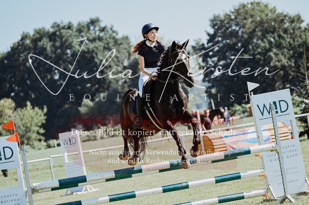 DSC_5909 | Pferde- und Turnierfotografie in Westsachsen. Pferdeportraits, Auftragszeichnungen und intuitive Kunst.