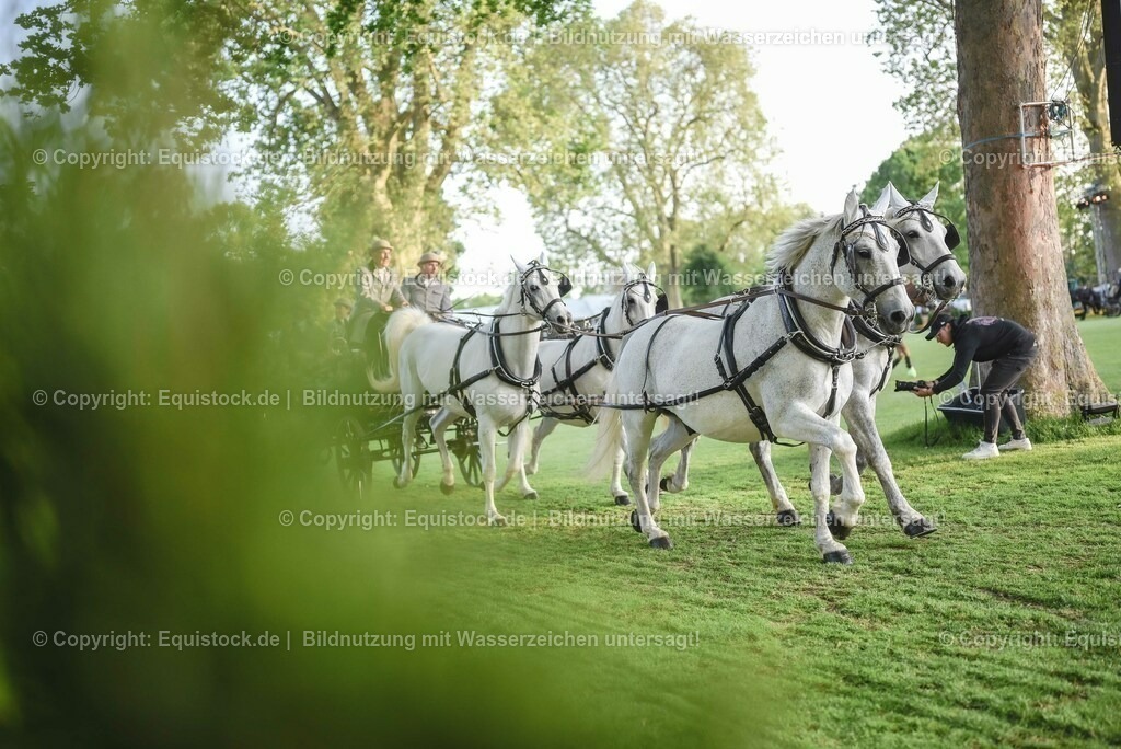 20230526_Pferdenacht_0141 | equistock