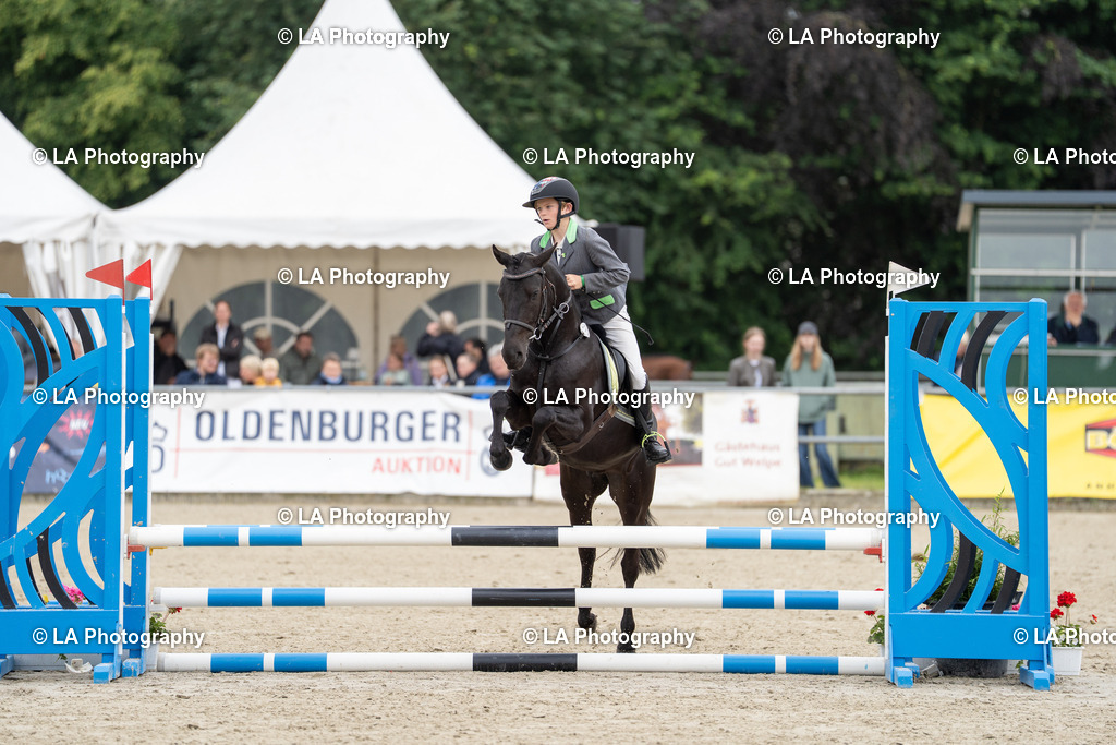 DSC07643 | Entdecke einzigartige Turnierfotos und persönliche Pferde- und Hundeportraits bei LA Photography. Für jeden Reiter und Pferd das perfekte Bild! Stöbere jetzt! - Realisiert mit Pictrs.com