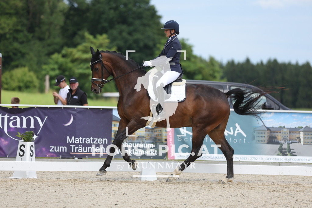 0P6A6113 | Willkommen bei Brunnmayr - Design & Fotografie – Ihrem Spezialisten für Reitturniere und Pferdeveranstaltungen in Oberösterreich, Salzburg und Bayern! Seit über 17 Jahren sind wir leidenschaftlich dabei.