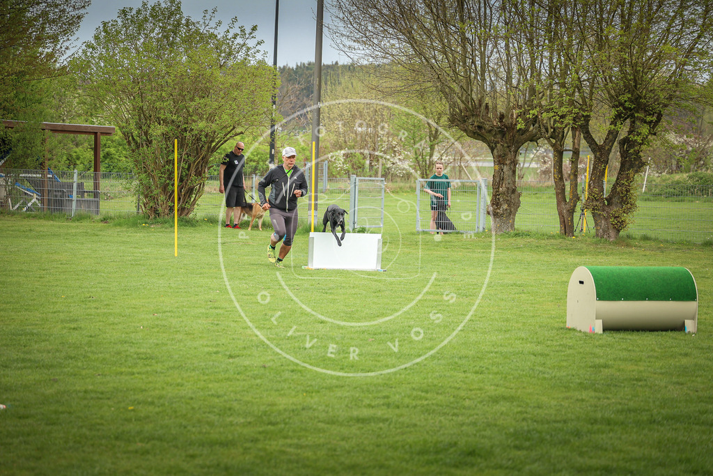 Pfotenfotografie_0L8A9528 | Hundefotografie, Tierfotograf, Pfotenfotografie, Fotoshooting Hund, Hunde Portrait, Hundesport, Hundeportraits, Heideshooting, Hunde, Sportfotograf, Hundefotograf, Turnierhundsport, THS,  - Realisiert mit Pictrs.com