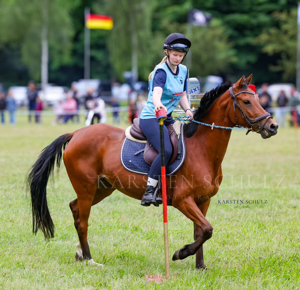 1B3A0253 | Reitsport Reiten