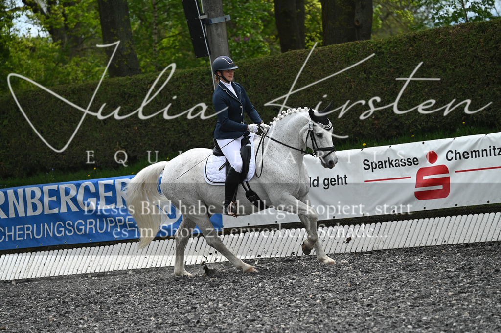 20230512_JK-Röhrsdorf-07-206 | Pferde- und Turnierfotografie in Westsachsen. Pferdeportraits, Auftragszeichnungen und intuitive Kunst.