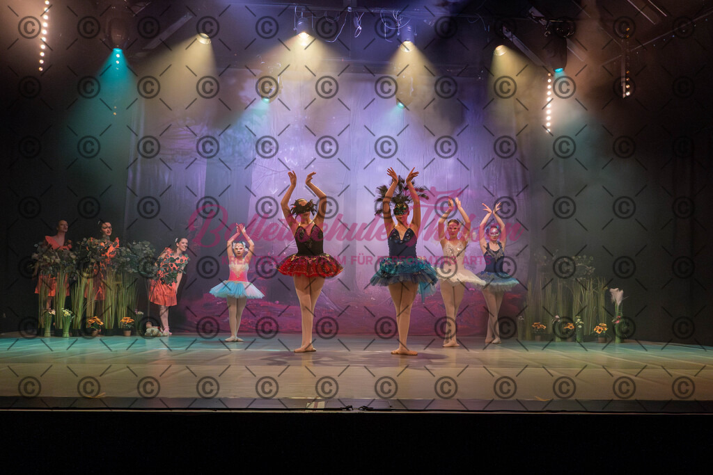 Ballettaufführung-868 | Bildershop Lem'n Entertainment - Realisiert mit Pictrs.com