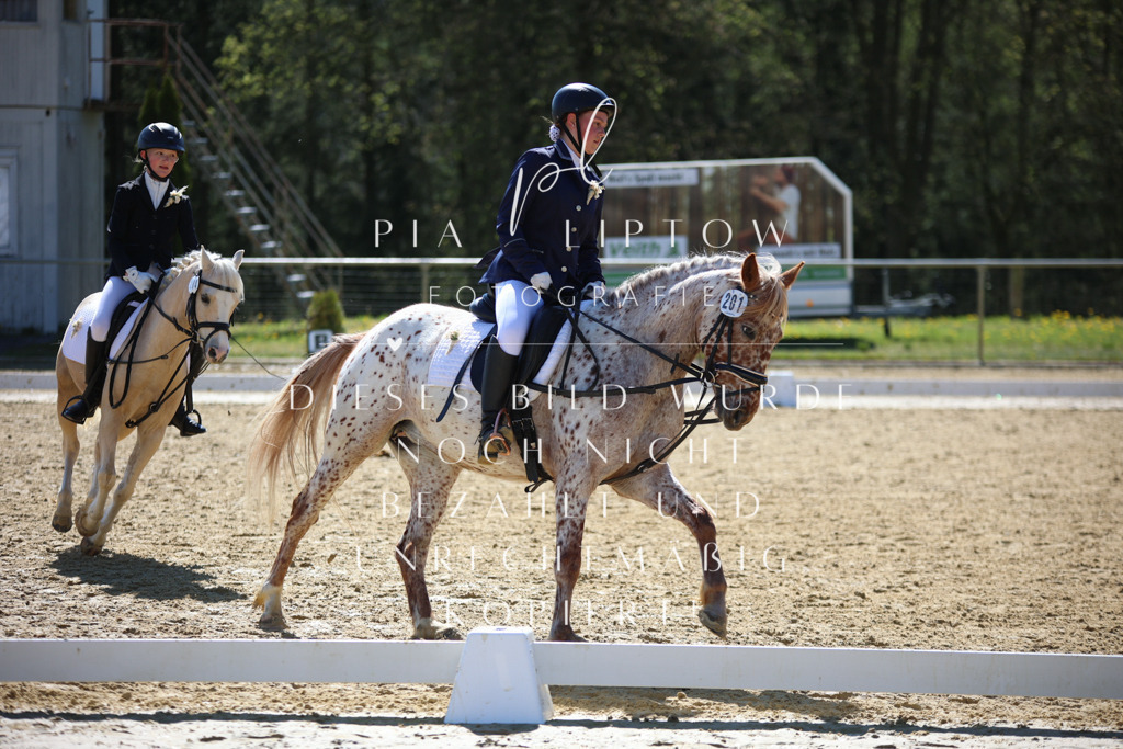 IMGT0646 | pl-fotografie