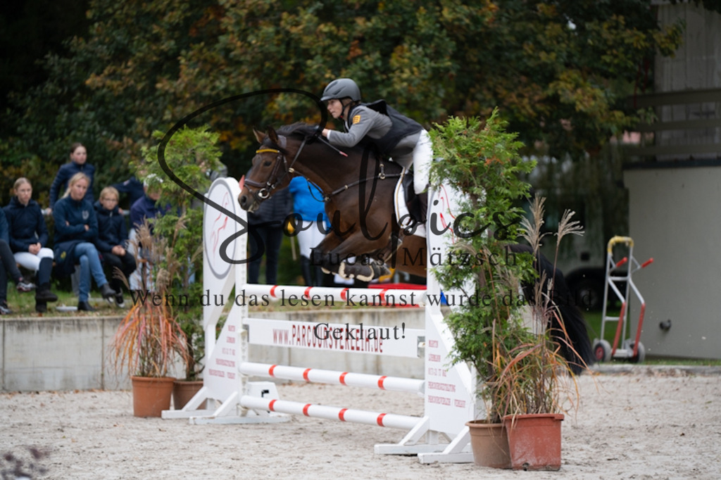 A7V09914 | Pferdefotograf