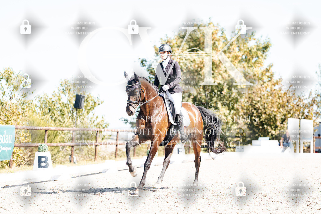 CK909756 | Turnierfotografie Pferdefotografie Trier Rheinland-Pfalz Pferdesport Reitsport Tierfotografie Sportfotografie Pferdevideo Pferdevideografie Equestrianvideography equestrianphotography  - Realisiert mit Pictrs.com