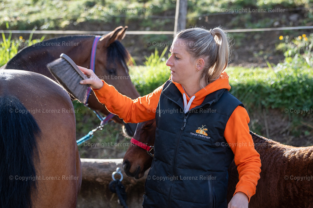 Schwingen -  Lebendpreise Schwägalp 2025 | Schwägalp, 19.4.25, Schwingen - Lebendpreise Schwägalp.