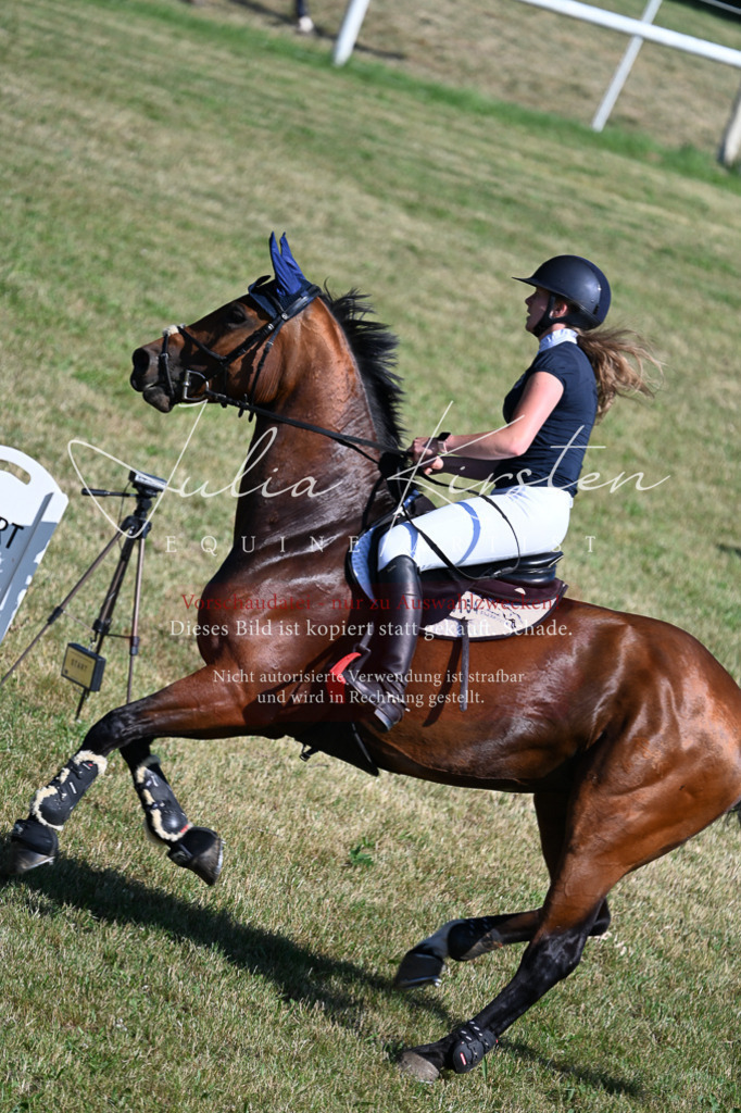 DSC_2099 | Pferde- und Turnierfotografie in Westsachsen. Pferdeportraits, Auftragszeichnungen und intuitive Kunst.