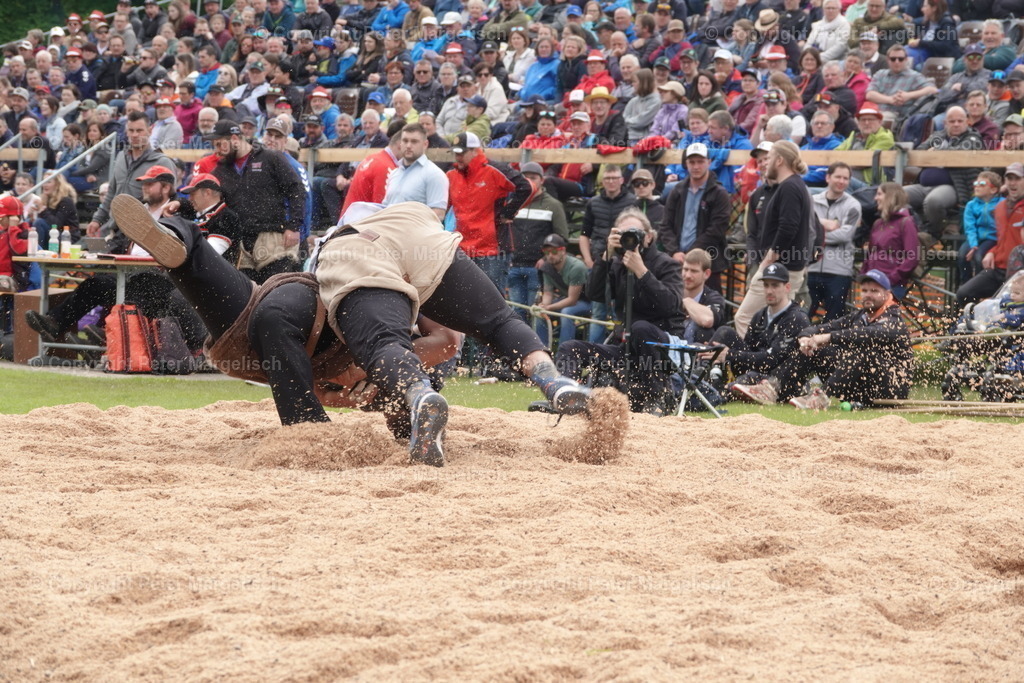 DSC04090 | Schwingen - Realisiert mit Pictrs.com