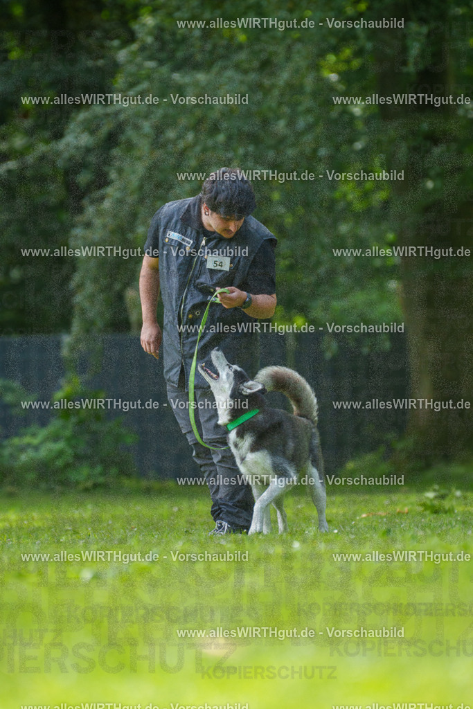 @allesWIRTHgut_Tierfotografie - www.allesWIRTHgut.de - 7R500899 | Professionelle Tierfotografie in Mönchengladbach von Daniel Wirth (allesWIRTHgut). Liebevolle & natürliche Bilder von Hunden & Katzen für unvergessliche Erinnerungen.