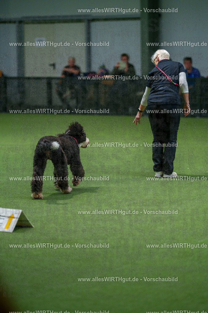 7R508050 | Professionelle Tierfotografie in Mönchengladbach von Daniel Wirth (allesWIRTHgut). Liebevolle & natürliche Bilder von Hunden & Katzen für unvergessliche Erinnerungen.