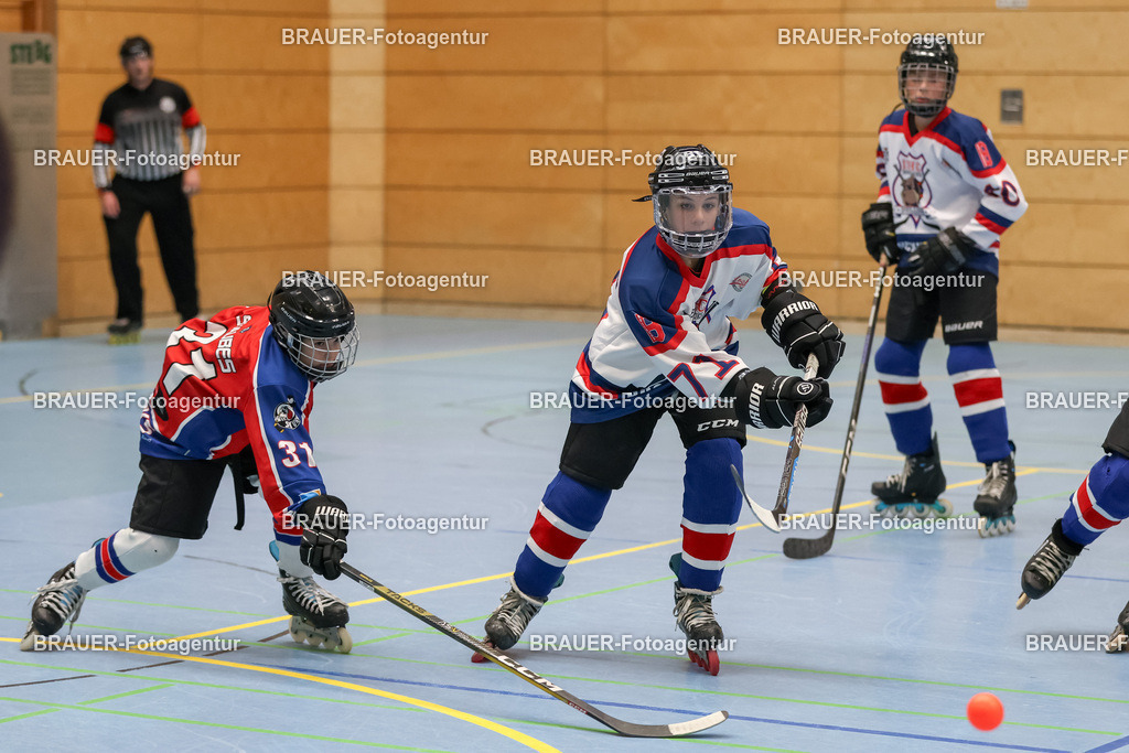 Bockumer Bulldogs Jugend - Monheim Skunks Jugend | 



05.11.1012 Bockumer Bulldogs Jugend - Monheim Skunks Jugend

(Foto von Michael Adler)

