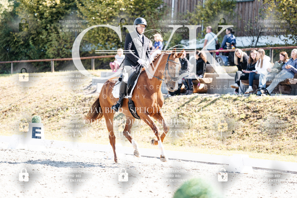 CK903338 | Turnierfotografie Pferdefotografie Trier Rheinland-Pfalz Pferdesport Reitsport Tierfotografie Sportfotografie Pferdevideo Pferdevideografie Equestrianvideography equestrianphotography  - Realisiert mit Pictrs.com