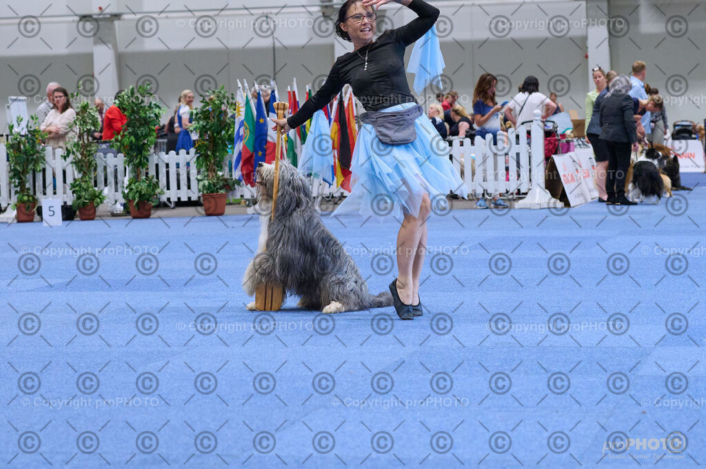 202406_ÖKV-IHA-Tulln24_DSC_5290 | proPHOTO - Realisiert mit Pictrs.com