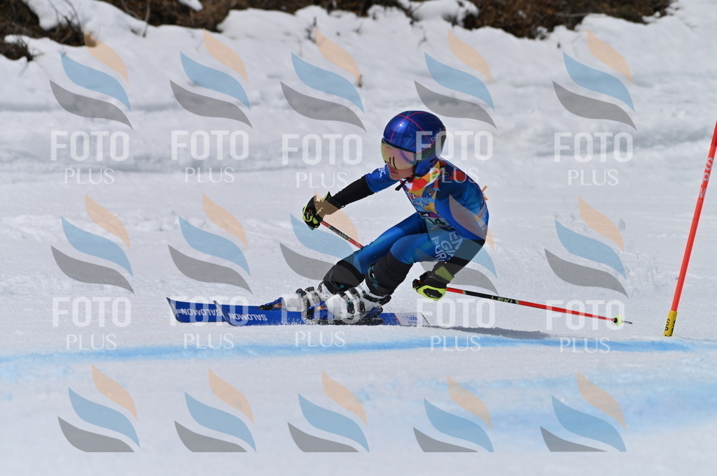 BGV_6033 | holidayphoto