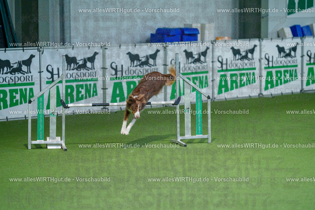 @allesWIRTHgut_Tierfotografie - www.allesWIRTHgut.de - 2604250933-7R508449 | Professionelle Tierfotografie in Mönchengladbach von Daniel Wirth (allesWIRTHgut). Liebevolle & natürliche Bilder von Hunden & Katzen für unvergessliche Erinnerungen.