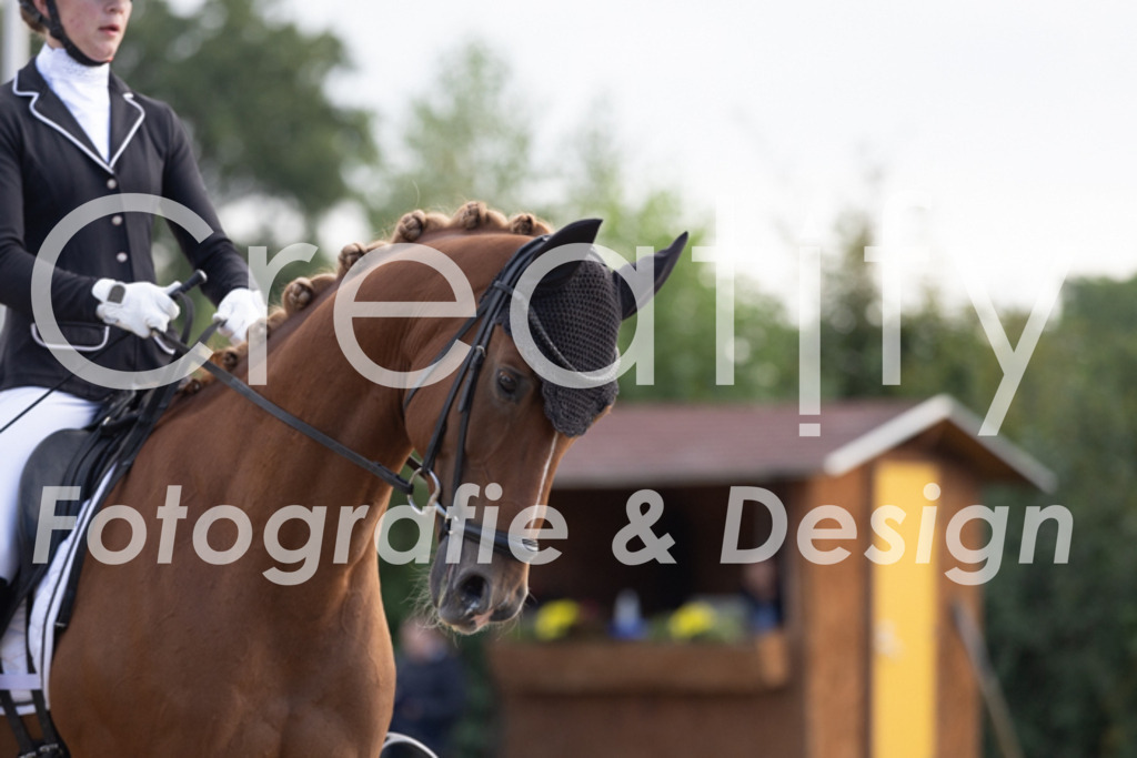 IMG_9804 | Creatify Fotografie