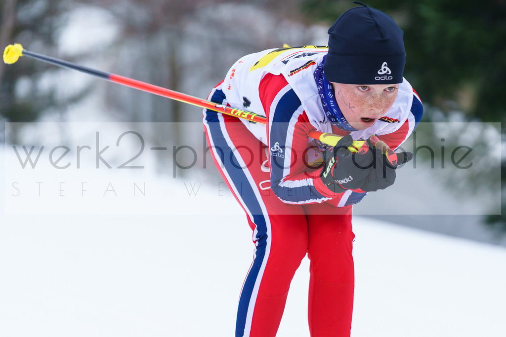 DSC Arber | Bayerischer Wald am 9. bis 12. Februar 2023
