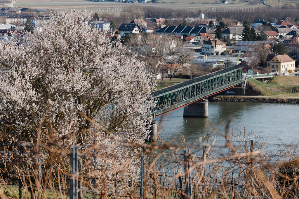 foto_c_pfeffel-partner-0174-R52_2613 | alexander-pfeffel - Realisiert mit Pictrs.com