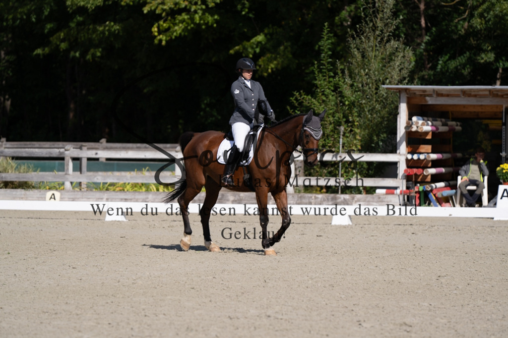 A7V07008 | Pferdefotograf