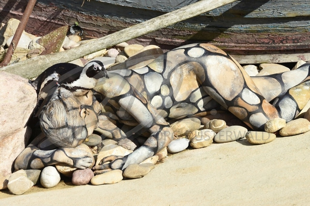 AnimalArt-PINGUINE_2110a | #001 | Modell: Madeline | Foto: Alexander Große-Strangmann - Realisiert mit Pictrs.com