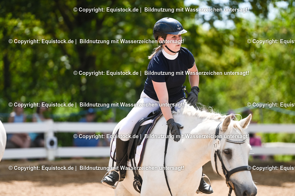 20230715_09_Dressur-WB_0102 | equistock