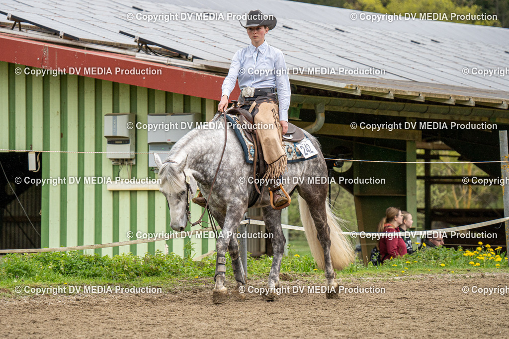 BAL00822 | dv-media-shop - Realisiert mit Pictrs.com