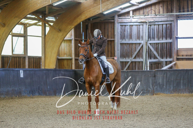 IMG_0246 | Turniersportfotografie; Pferdefotografie; Dressurfotografie