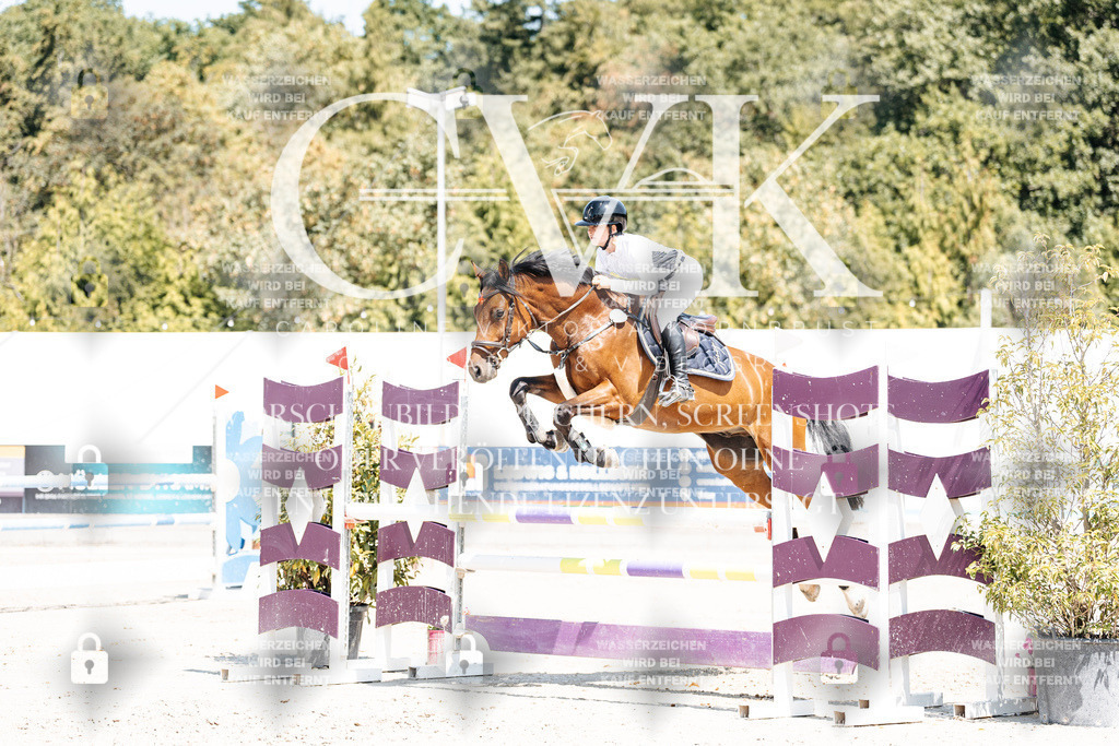 CK900255 | Turnierfotografie Pferdefotografie Trier Rheinland-Pfalz Pferdesport Reitsport Tierfotografie Sportfotografie Pferdevideo Pferdevideografie Equestrianvideography equestrianphotography  - Realisiert mit Pictrs.com