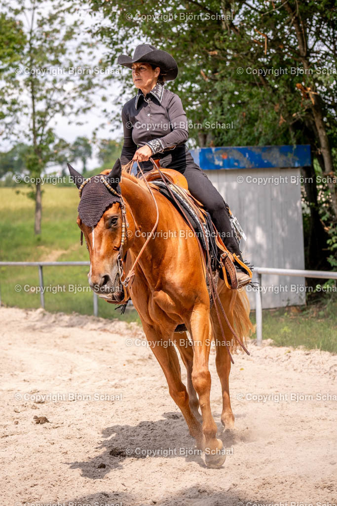 KBB06064 | BS-foto