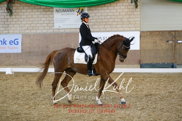 IMG_2937 | Turnierfotos kaufen im Webshop von Daniel Kuhl Photography – entdecke professionelle Reitsportfotos aus Turnieren & Events. Hochwertige Turnierbilder online bestellen & sichern. Jetzt Fotos von Reitsportturnieren kaufen!
