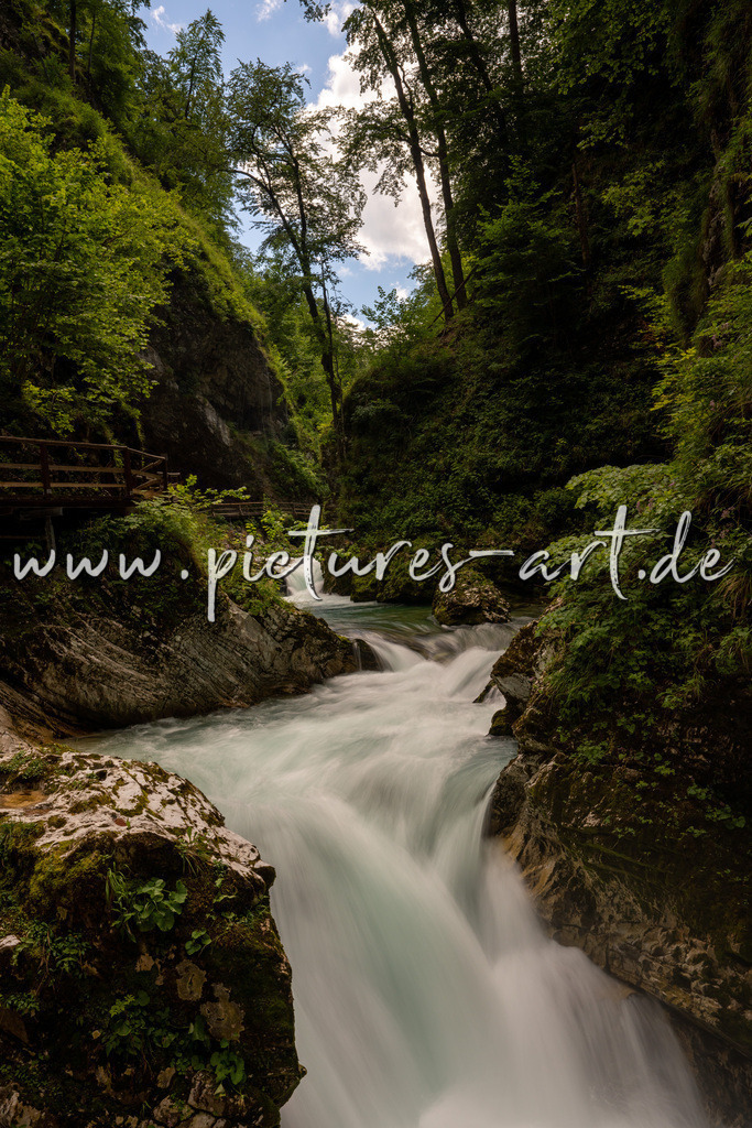 DSC09790 | pictures-art.de