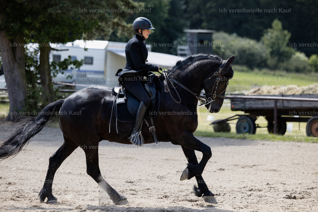 KlasseM_stoibphotography_C2_C8975.CR3 | working equitationturnier fotograf videograf stoibphotography marixx film working equitation deutschland reitsport turnierfotografie eventfotografie equestrian events