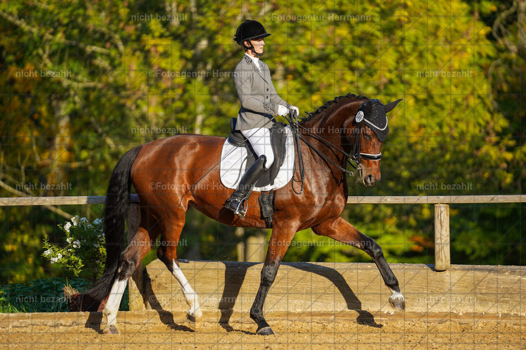 20221007-FAH00389 | Diessen am Ammersee, 2022, Dressur- und Springturnier, Reitsportbilder, Turnierfotografen Bayern, Pferdefotografen, Fotoagentur Herrmann, Turnierbilder